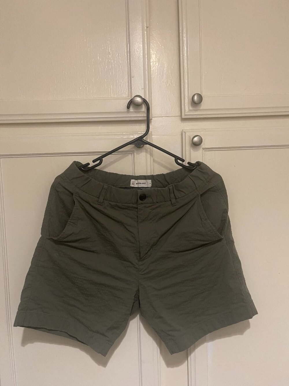 Everlane 5'' Chino Shorts in Dark Green
